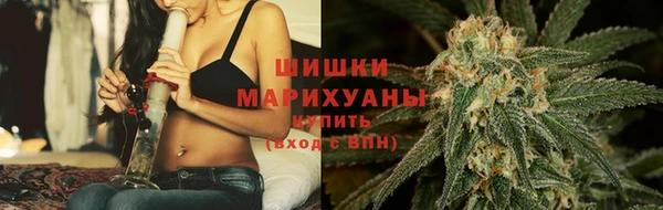 шишки Рославль