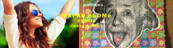 шишки Рославль