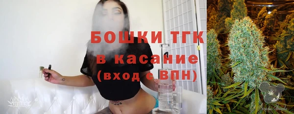 шишки Рославль